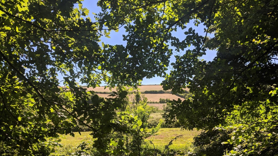 35971500_10157553122354972_3472502370443722752_o